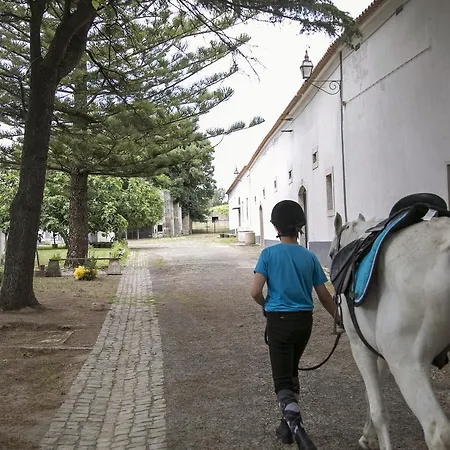 Quinta De Cascavelos-eco Experience Farm stay *