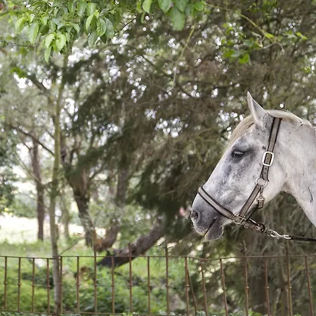 Quinta De Cascavelos-eco Experience