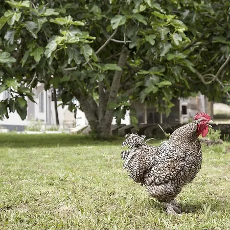 Farm stay Quinta De Cascavelos-eco Experience *